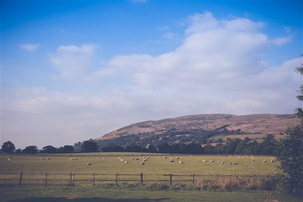 The Clwydian Range 