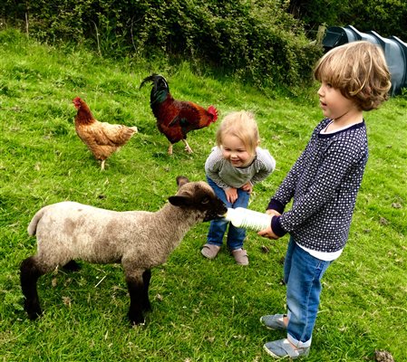 bottle feeding