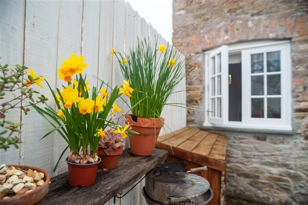 the garden shelf