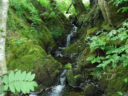 Waterfall in stream that runs adjacent to Sandbeds Holiday Cottages.