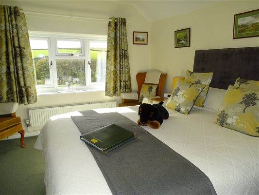 Marwood king sized ensuite bedroom at West Down B&B Guest House 