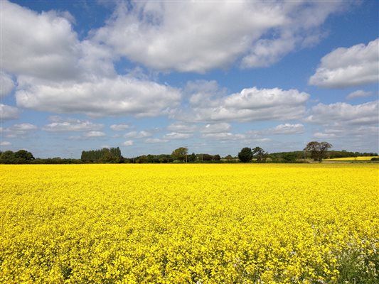 countryside on the doorstep