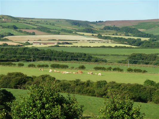 View of Borrowby