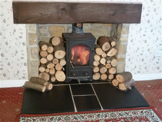 Wood burner in living room