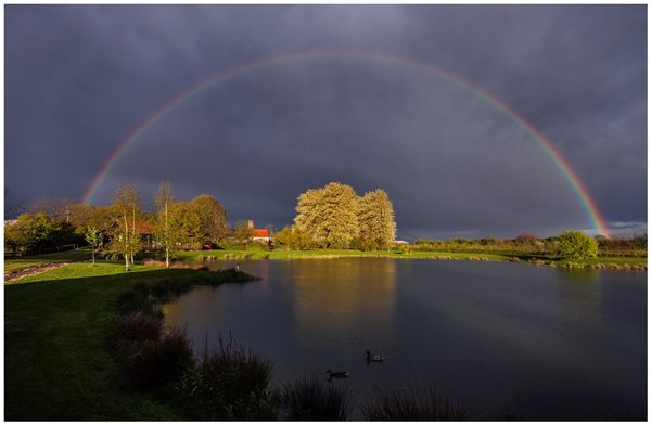 Beautiful lake views from the Holiday Lodges 