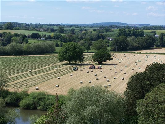 view of oak meadow from Ross on Wye