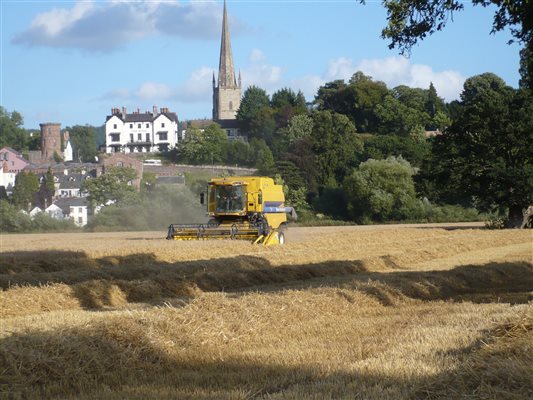 view from oak meadow towards Ross on Wye