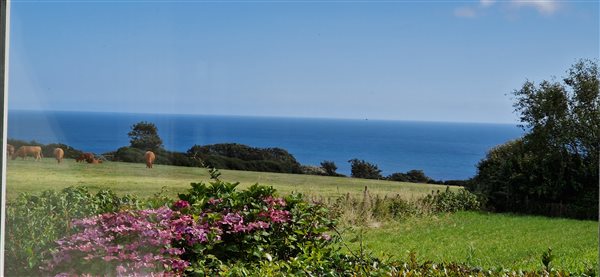 view to sea - Seascape