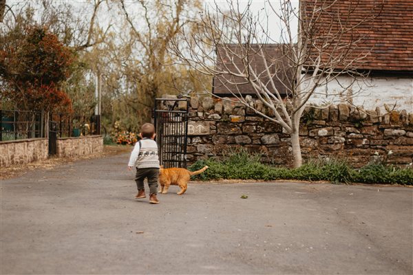 Boy and Cat