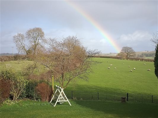 View from the Red room