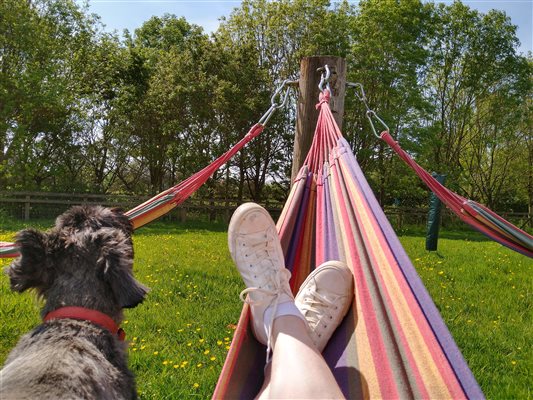 hammocks