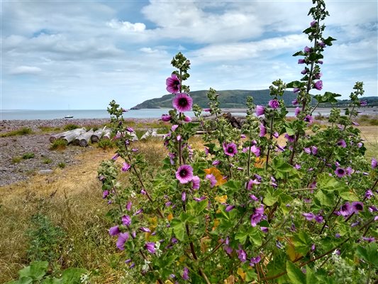 Somerset beach