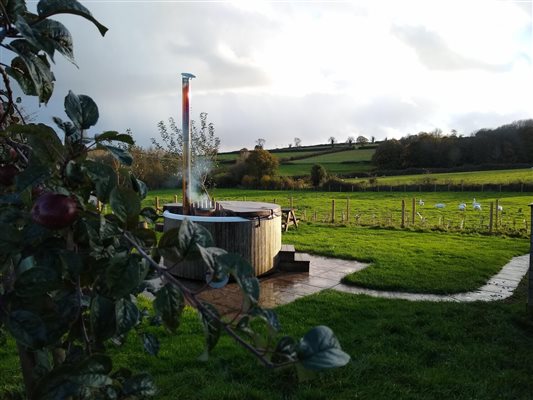 hot tub with apple trees