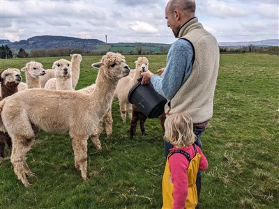 Middle Stone Farm Glamping