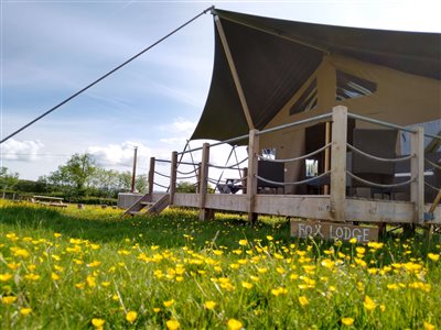 Middle Stone Farm Glamping