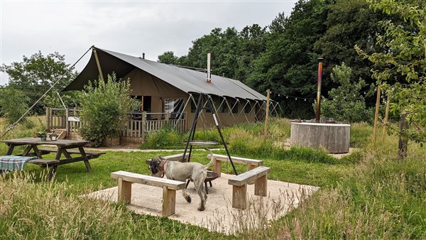 dog friendly glamping