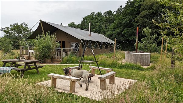 dog friendly glamping