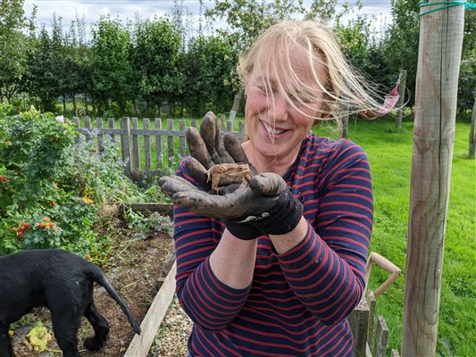 toads at Middle Stone Farm