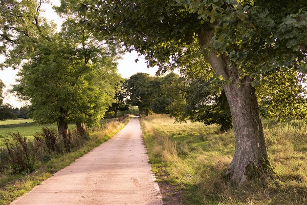 The farm road 