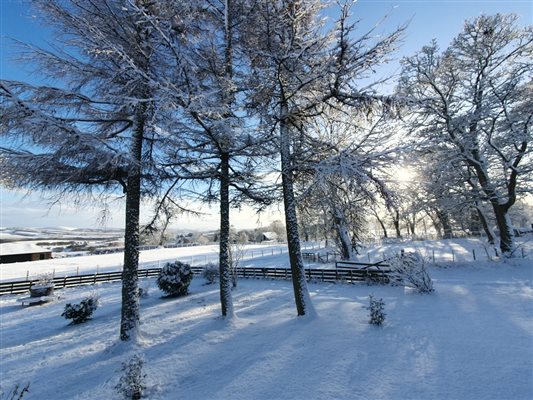 Winter view of snow at airhouses