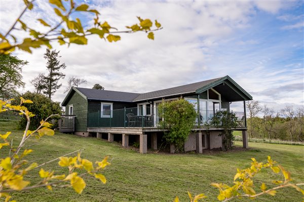 Lodge with yellow blossom