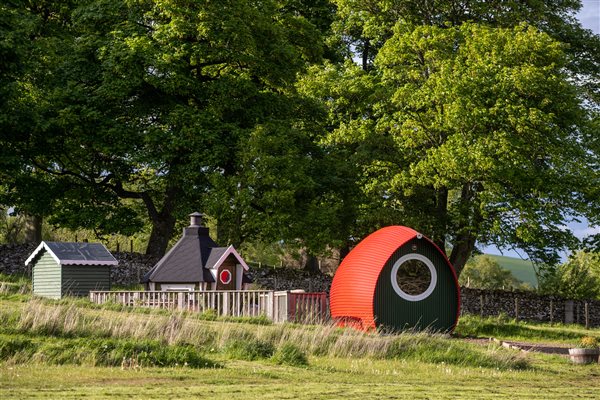 Pod in a field 