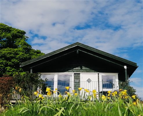 Lodge with daffodils outside