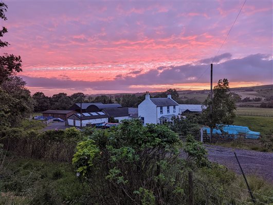 The Farm at Sunset