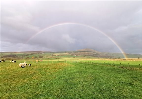 Views from the farmland