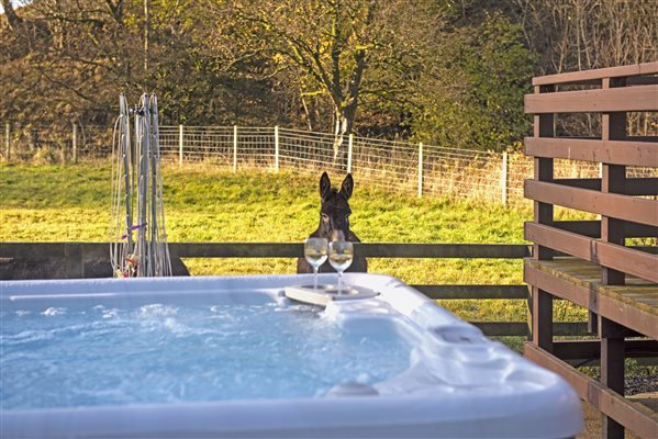 Hot Tub View