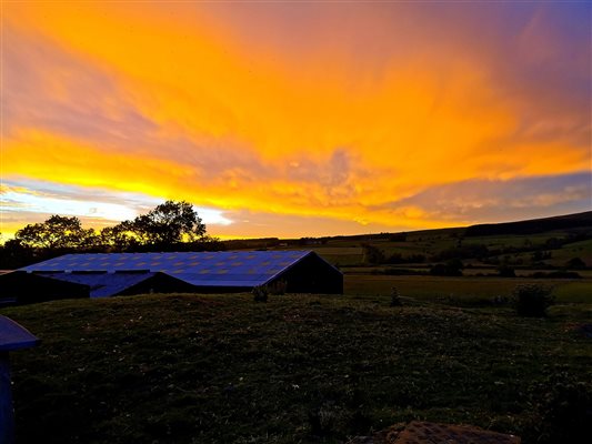 Farm views