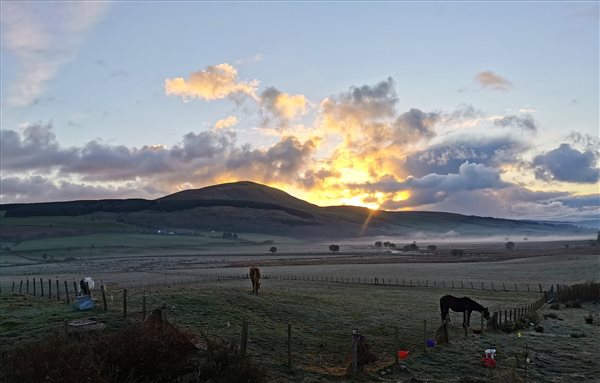 Farm views