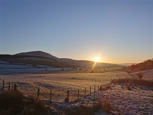 Farm views