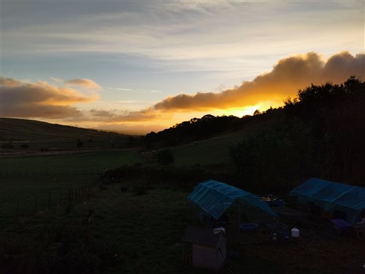 Farm views