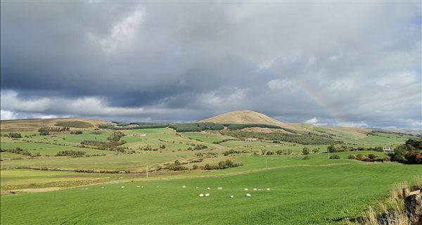 Farm views
