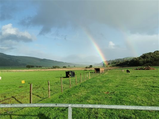 Farm views