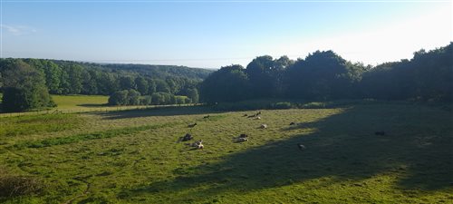 Peacehaven Farm, Battle, East Sussex