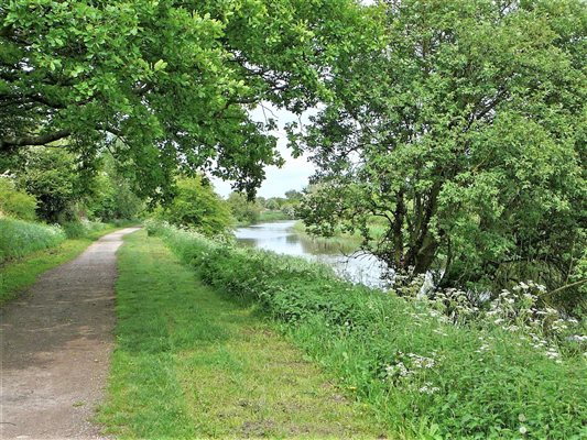 canal bank walk