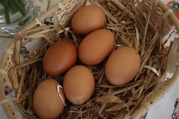 Free range eggs