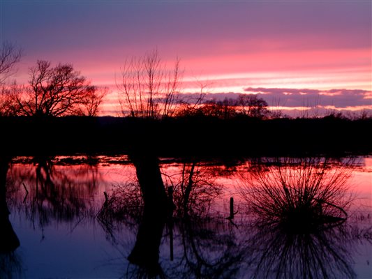 sunset over the river