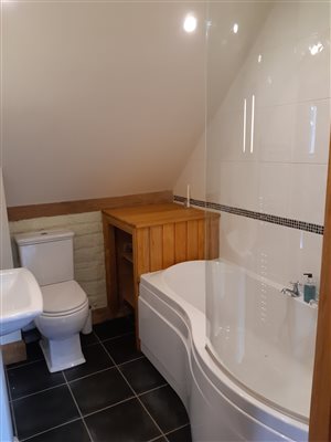 Bath/shower ensuite