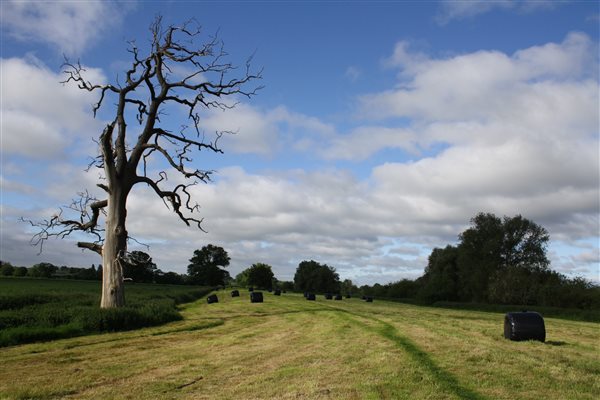 Walk along the River Severn