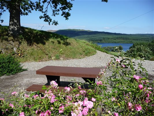 picnic area with stone wall and flowering roses