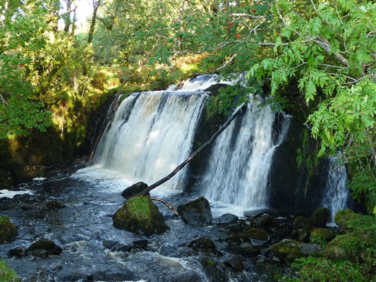 wide waterfall with a curtain of white water flowing over it