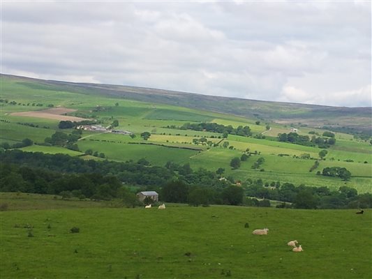 lower Weardale