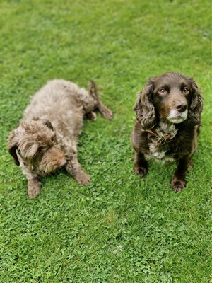 Bea and Izzy