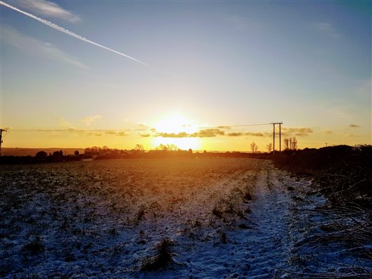 farm in snow