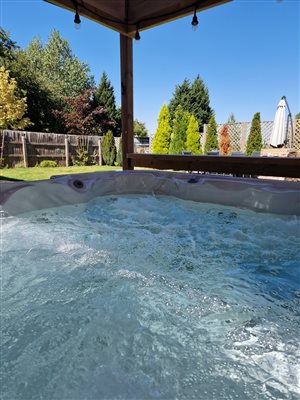 a close up of a blue bubbling hot tub, the sun is shining on the green conifers in the distance