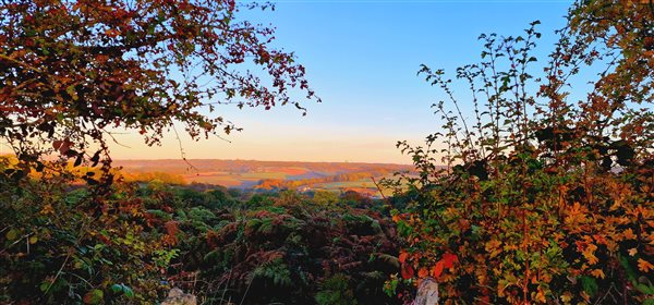 an autumnal scene with brown leaves and red berries in the foreground looking out into the distance over fields and trees with a blue sky above