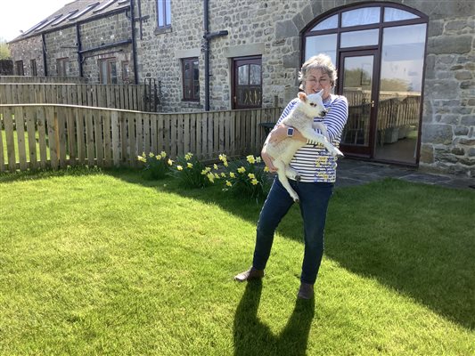 Archway garden with a spring visitor